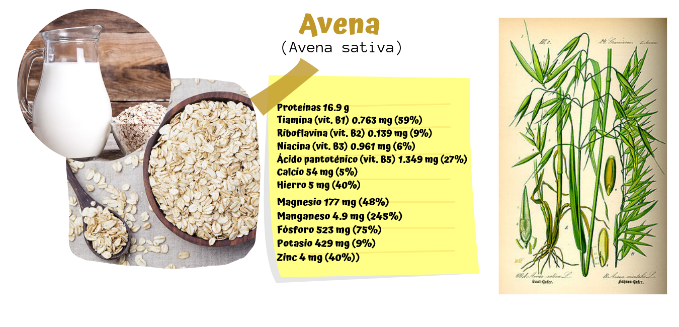 Qué tomar para producir más leche materna Mega Baby - La tienda online