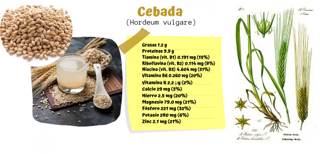 Qué tomar para producir más leche materna Mega Baby - La tienda online