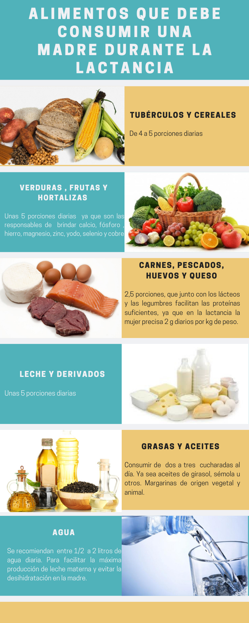 La alimentación en la lactancia que debes tener - Mega Baby - Consejos