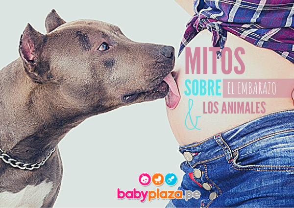 recursos humanos suma Metro Cuidados en el embarazo |Mascotas&Maternidad| Baby Plaza