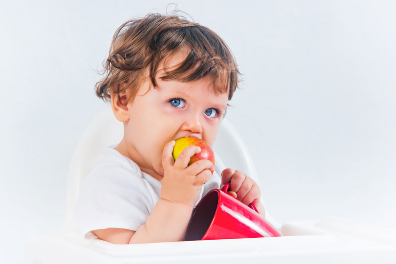 Crea snacks saludables para tú bebé - Mega Baby