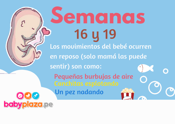 a cuantos meses se mueve un bebe