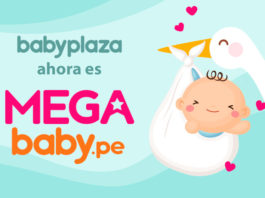 Papillas Para Bebes De 6 Meses Faciles De Hacer Baby Plaza